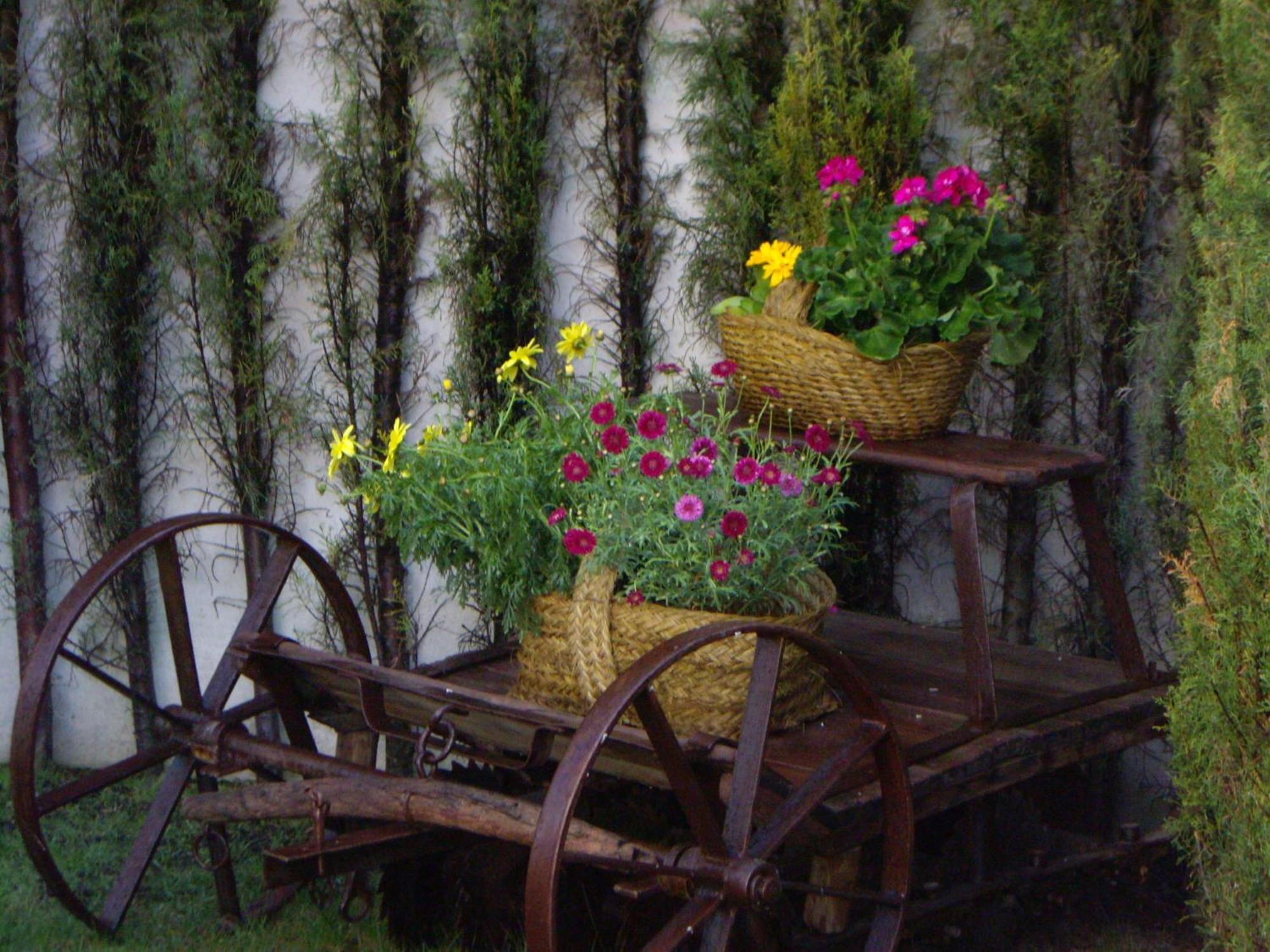 Chalet Airam موناتْشيل المظهر الخارجي الصورة